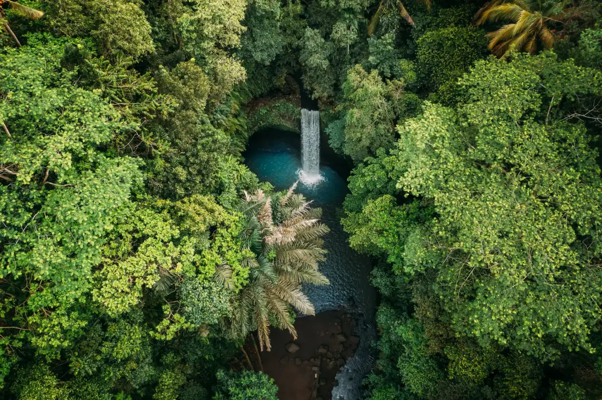 bali water fall from aerial